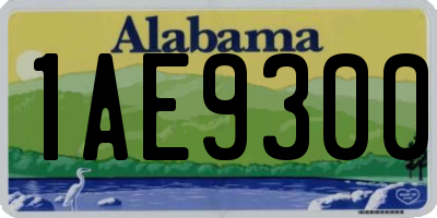 AL license plate 1AE9300