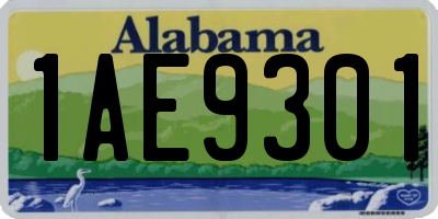 AL license plate 1AE9301