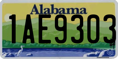 AL license plate 1AE9303