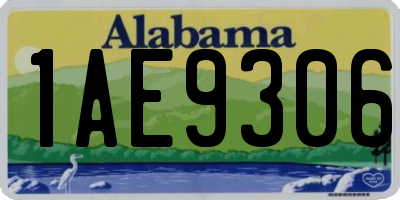 AL license plate 1AE9306
