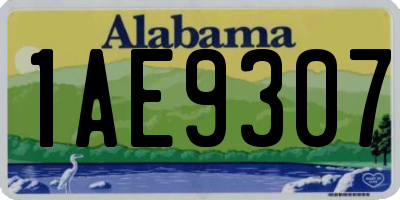 AL license plate 1AE9307