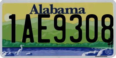 AL license plate 1AE9308