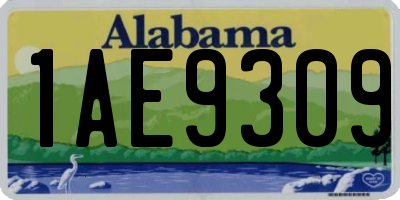 AL license plate 1AE9309