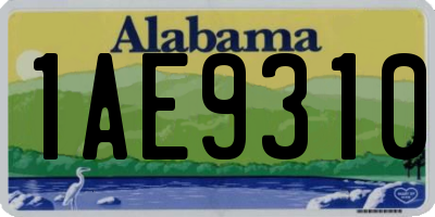 AL license plate 1AE9310