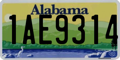 AL license plate 1AE9314