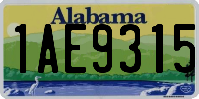 AL license plate 1AE9315