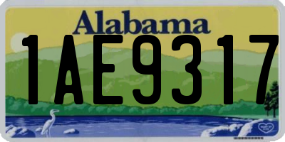AL license plate 1AE9317