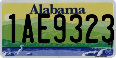 AL license plate 1AE9323