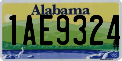 AL license plate 1AE9324