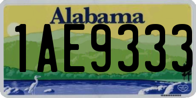 AL license plate 1AE9333