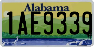 AL license plate 1AE9339