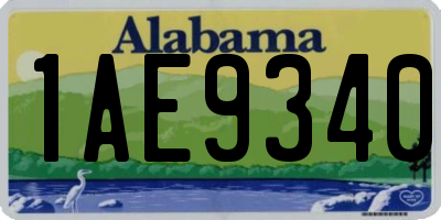 AL license plate 1AE9340