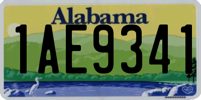 AL license plate 1AE9341