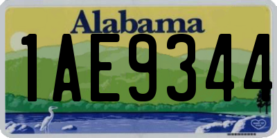 AL license plate 1AE9344