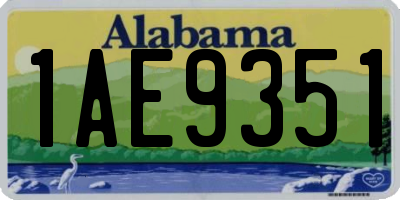 AL license plate 1AE9351