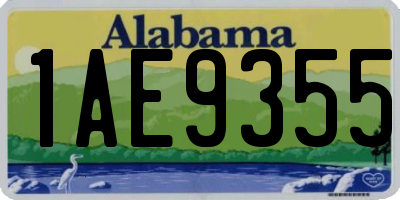 AL license plate 1AE9355