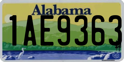 AL license plate 1AE9363