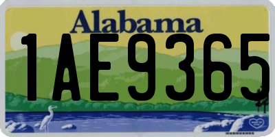 AL license plate 1AE9365