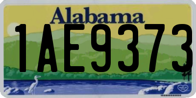 AL license plate 1AE9373