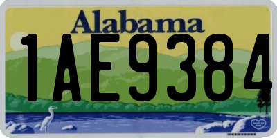 AL license plate 1AE9384