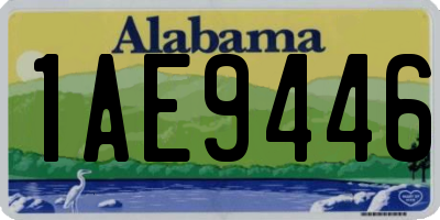 AL license plate 1AE9446