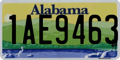 AL license plate 1AE9463