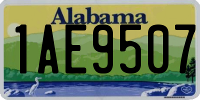 AL license plate 1AE9507