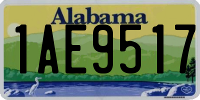 AL license plate 1AE9517