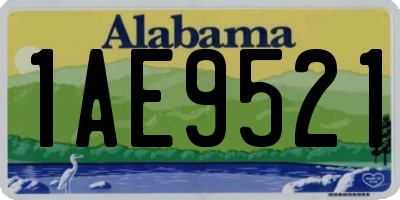 AL license plate 1AE9521
