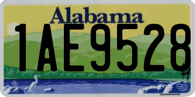 AL license plate 1AE9528