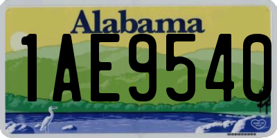 AL license plate 1AE9540