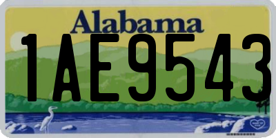AL license plate 1AE9543