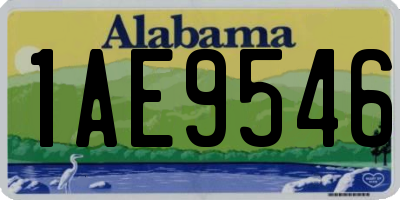 AL license plate 1AE9546