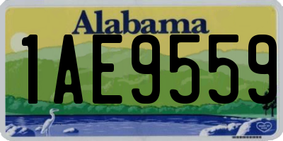 AL license plate 1AE9559