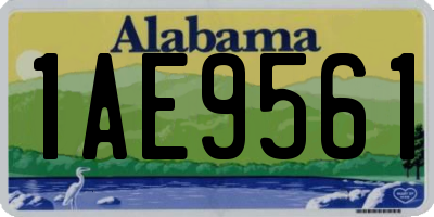 AL license plate 1AE9561