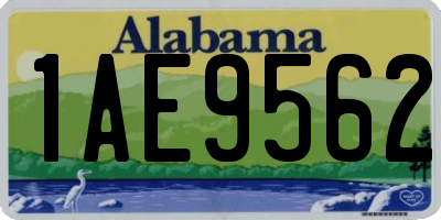 AL license plate 1AE9562