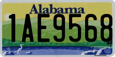AL license plate 1AE9568