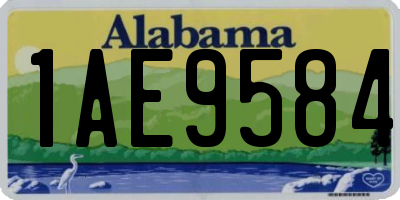 AL license plate 1AE9584