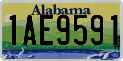 AL license plate 1AE9591