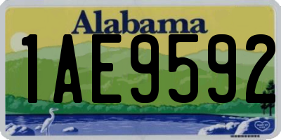 AL license plate 1AE9592