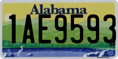 AL license plate 1AE9593