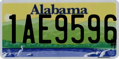 AL license plate 1AE9596