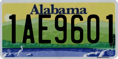 AL license plate 1AE9601