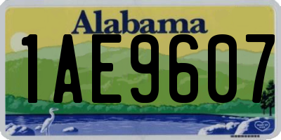AL license plate 1AE9607