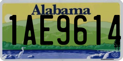 AL license plate 1AE9614