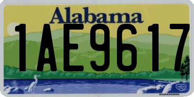 AL license plate 1AE9617
