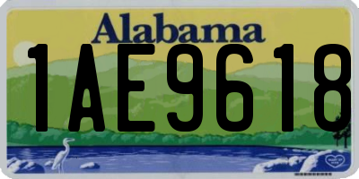 AL license plate 1AE9618