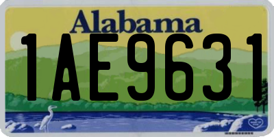 AL license plate 1AE9631