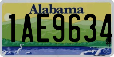 AL license plate 1AE9634