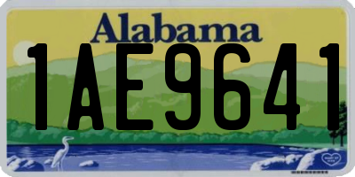 AL license plate 1AE9641